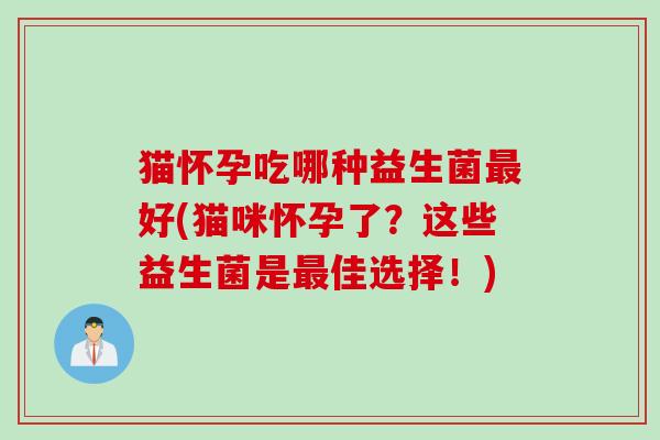 猫怀孕吃哪种益生菌好(猫咪怀孕了?这些益生菌是佳选择!) 猫怀孕吃哪种益生菌好(猫咪怀孕了?这些益生菌是佳选择!)