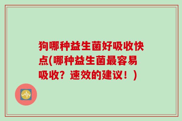 狗哪种益生菌好吸收快点(哪种益生菌最容易吸收？速效的建议！)