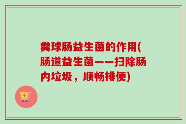 粪球肠益生菌的作用(肠道益生菌——扫除肠内垃圾,顺畅排便) 粪球肠益生菌的作用(肠道益生菌——扫除肠内垃圾,顺畅排便)