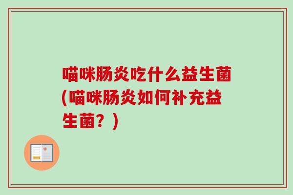 喵咪吃什么益生菌(喵咪如何补充益生菌？)