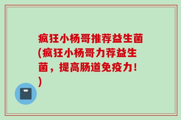 疯狂小杨哥推荐益生菌(疯狂小杨哥力荐益生菌，提高肠道力！)