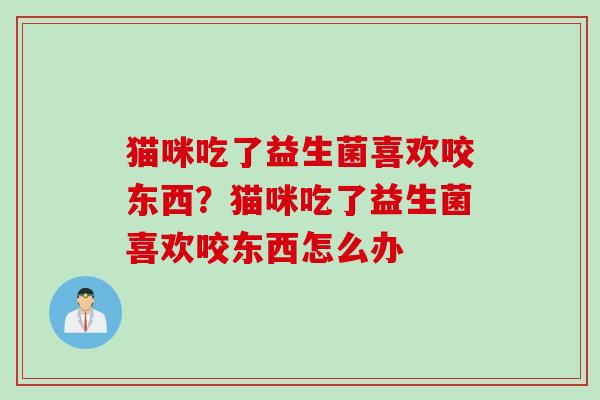 猫咪吃了益生菌喜欢咬东西?猫咪吃了益生菌喜欢咬东西怎么办 猫咪吃了益生菌喜欢咬东西?猫咪吃了益生菌喜欢咬东西怎么办