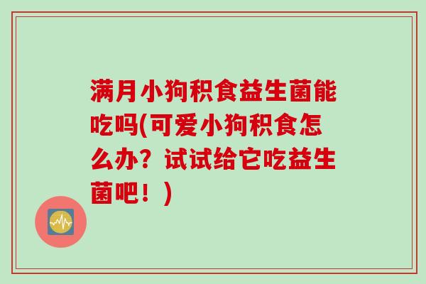 满月小狗积食益生菌能吃吗(可爱小狗积食怎么办？试试给它吃益生菌吧！)