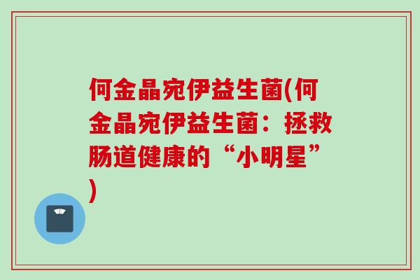 何金晶宛伊益生菌(何金晶宛伊益生菌：拯救肠道健康的“小明星”)