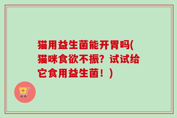 猫用益生菌能开胃吗(猫咪食欲不振？试试给它食用益生菌！)