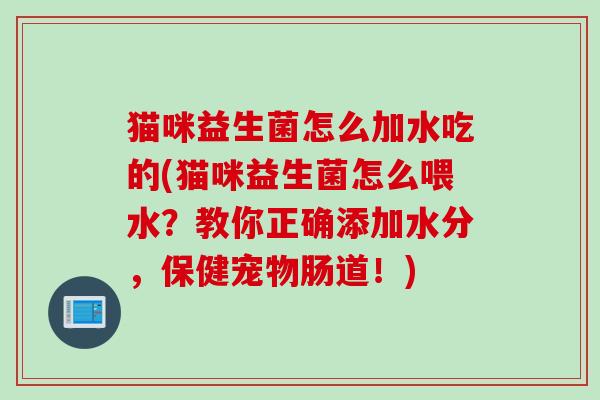 猫咪益生菌怎么加水吃的(猫咪益生菌怎么喂水?教你正确添加水分,保健宠物肠道!) 猫咪益生菌怎么加水吃的(猫咪益生菌怎么喂水?教你正确添加水分,保健宠物肠道!)
