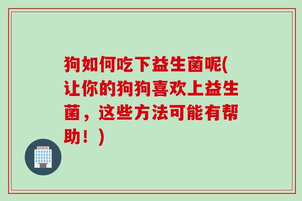 狗如何吃下益生菌呢(让你的狗狗喜欢上益生菌,这些方法可能有帮助!) 狗如何吃下益生菌呢(让你的狗狗喜欢上益生菌,这些方法可能有帮助!)
