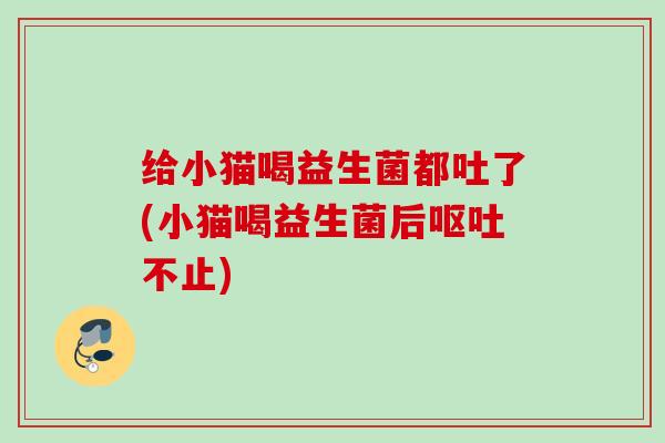 给小猫喝益生菌都吐了(小猫喝益生菌后不止)