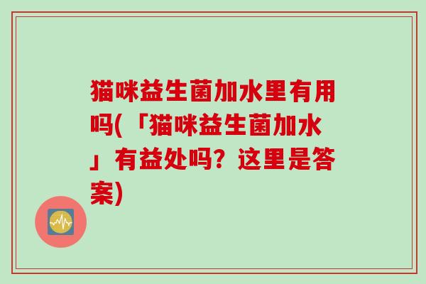 猫咪益生菌加水里有用吗(「猫咪益生菌加水」有益处吗？这里是答案)