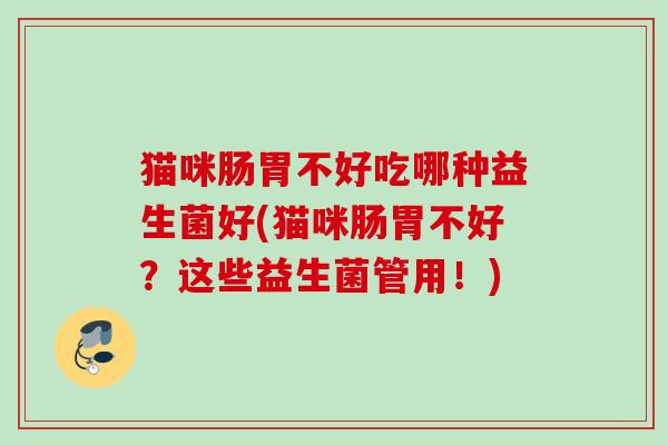猫咪肠胃不好吃哪种益生菌好(猫咪肠胃不好?这些益生菌管用!) 猫咪肠胃不好吃哪种益生菌好(猫咪肠胃不好?这些益生菌管用!)