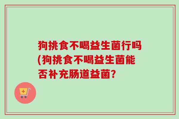狗挑食不喝益生菌行吗(狗挑食不喝益生菌能否补充肠道益菌? 狗挑食不喝益生菌行吗(狗挑食不喝益生菌能否补充肠道益菌?