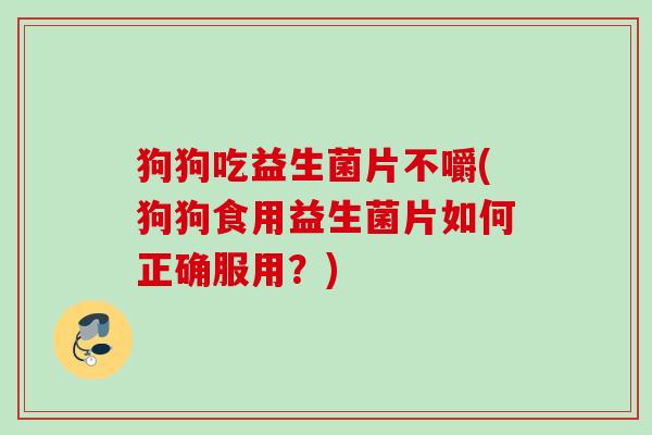 狗狗吃益生菌片不嚼(狗狗食用益生菌片如何正确服用？)
