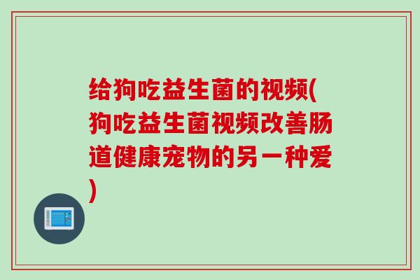 给狗吃益生菌的视频(狗吃益生菌视频改善肠道健康宠物的另一种爱)