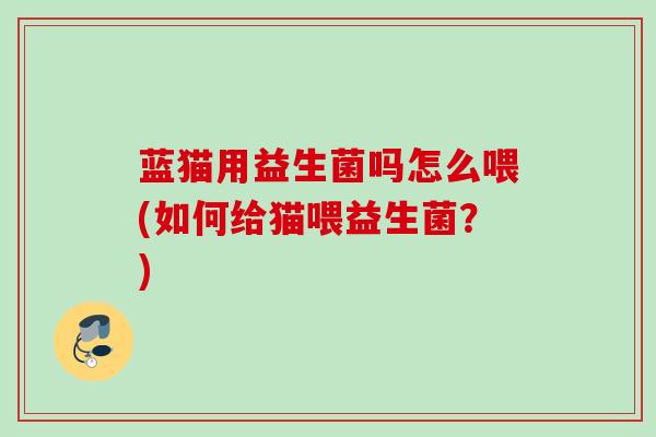 蓝猫用益生菌吗怎么喂(如何给猫喂益生菌?) 蓝猫用益生菌吗怎么喂(如何给猫喂益生菌?)