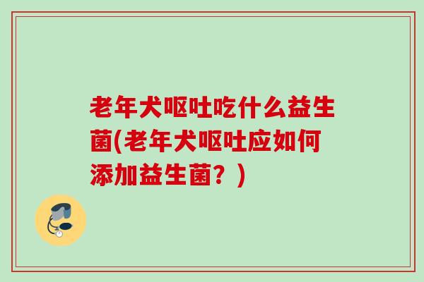 老年犬呕吐吃什么益生菌(老年犬呕吐应如何添加益生菌？)