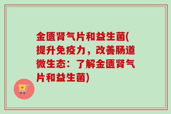 金匮气片和益生菌(提升力，改善肠道微生态：了解金匮气片和益生菌)