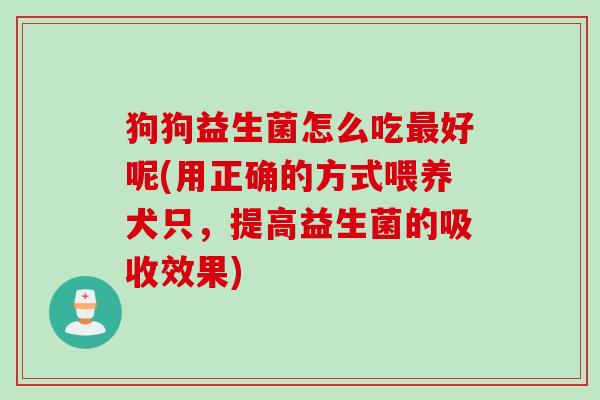 狗狗益生菌怎么吃最好呢(用正确的方式喂养犬只，提高益生菌的吸收效果)