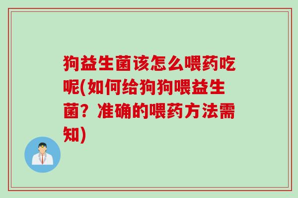 狗益生菌该怎么喂药吃呢(如何给狗狗喂益生菌?准确的喂药方法需知) 狗益生菌该怎么喂药吃呢(如何给狗狗喂益生菌?准确的喂药方法需知)
