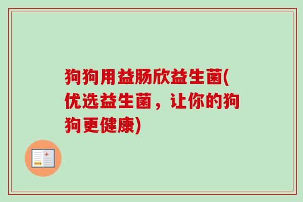 狗狗用益肠欣益生菌(优选益生菌,让你的狗狗更健康) 狗狗用益肠欣益生菌(优选益生菌,让你的狗狗更健康)