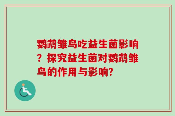 鹦鹉雏鸟吃益生菌影响？探究益生菌对鹦鹉雏鸟的作用与影响？