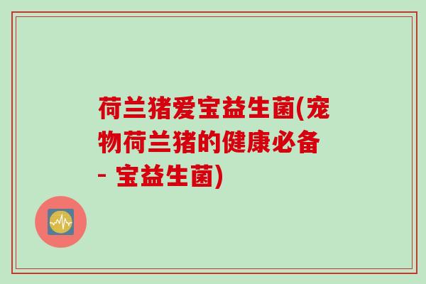 荷兰猪爱宝益生菌(宠物荷兰猪的健康必备 - 宝益生菌)