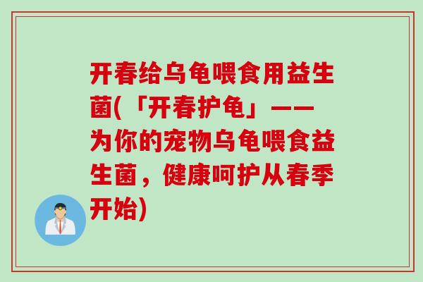 开春给乌龟喂食用益生菌(「开春护龟」——为你的宠物乌龟喂食益生菌，健康呵护从春季开始)