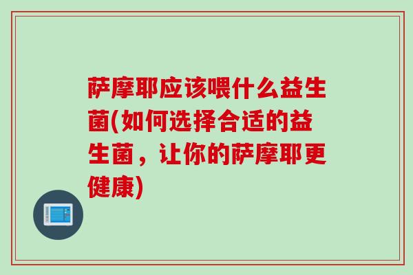 萨摩耶应该喂什么益生菌(如何选择合适的益生菌,让你的萨摩耶更健康) 萨摩耶应该喂什么益生菌(如何选择合适的益生菌,让你的萨摩耶更健康)