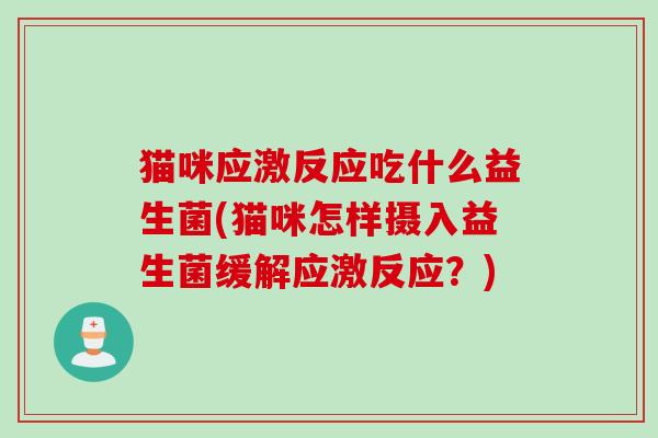 猫咪应激反应吃什么益生菌(猫咪怎样摄入益生菌缓解应激反应？)