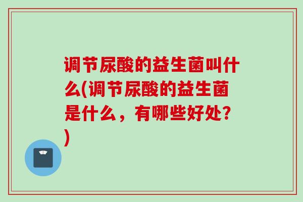 调节尿酸的益生菌叫什么(调节尿酸的益生菌是什么，有哪些好处？)