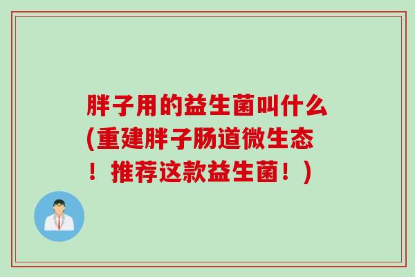 胖子用的益生菌叫什么(重建胖子肠道微生态！推荐这款益生菌！)