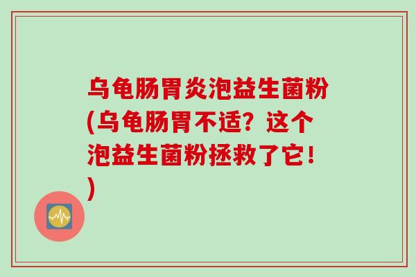 乌龟肠泡益生菌粉(乌龟肠胃不适?这个泡益生菌粉拯救了它!) 乌龟肠泡益生菌粉(乌龟肠胃不适?这个泡益生菌粉拯救了它!)