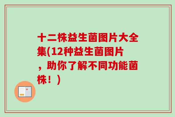 十二株益生菌图片大全集(12种益生菌图片，助你了解不同功能菌株！)