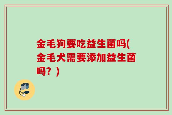 金毛狗要吃益生菌吗(金毛犬需要添加益生菌吗？)