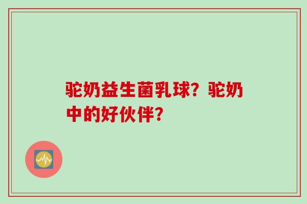驼奶益生菌乳球?驼奶中的好伙伴? 驼奶益生菌乳球?驼奶中的好伙伴?
