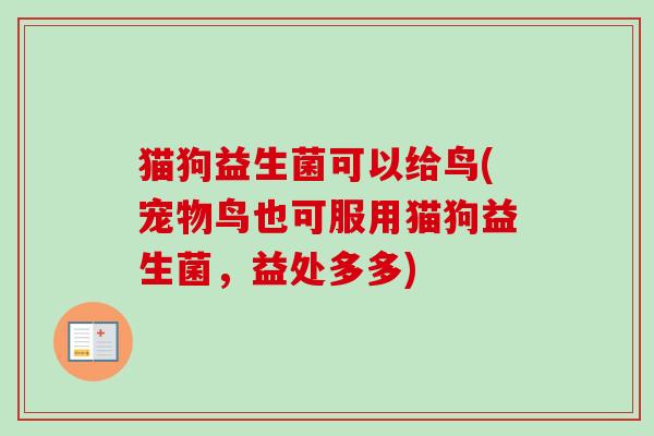 猫狗益生菌可以给鸟(宠物鸟也可服用猫狗益生菌，益处多多)