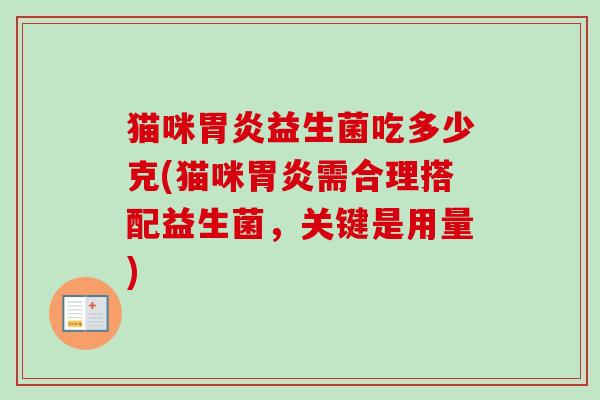 猫咪益生菌吃多少克(猫咪需合理搭配益生菌，关键是用量)