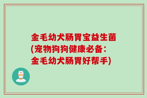 金毛幼犬肠胃宝益生菌(宠物狗狗健康必备：金毛幼犬肠胃好帮手)