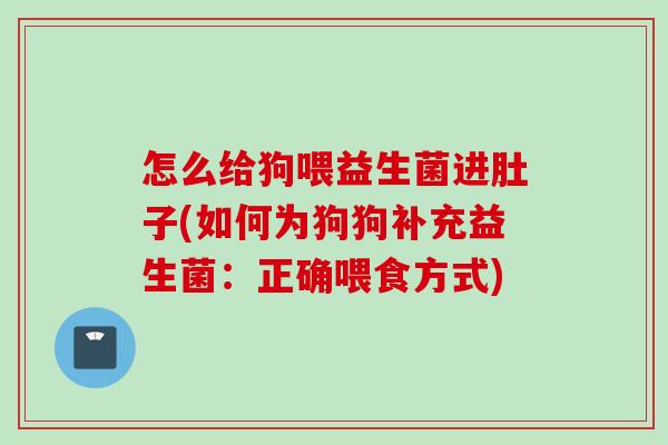 怎么给狗喂益生菌进肚子(如何为狗狗补充益生菌：正确喂食方式)