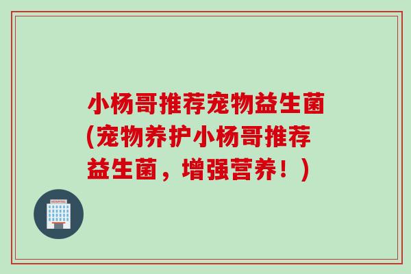 小杨哥推荐宠物益生菌(宠物养护小杨哥推荐益生菌，增强营养！)