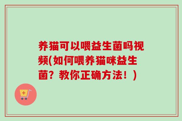 养猫可以喂益生菌吗视频(如何喂养猫咪益生菌？教你正确方法！)