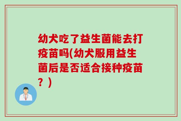 幼犬吃了益生菌能去打疫苗吗(幼犬服用益生菌后是否适合接种疫苗？)