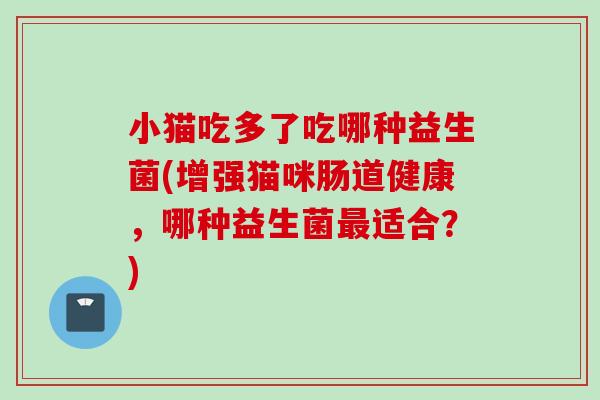 小猫吃多了吃哪种益生菌(增强猫咪肠道健康,哪种益生菌适合?) 小猫吃多了吃哪种益生菌(增强猫咪肠道健康,哪种益生菌适合?)