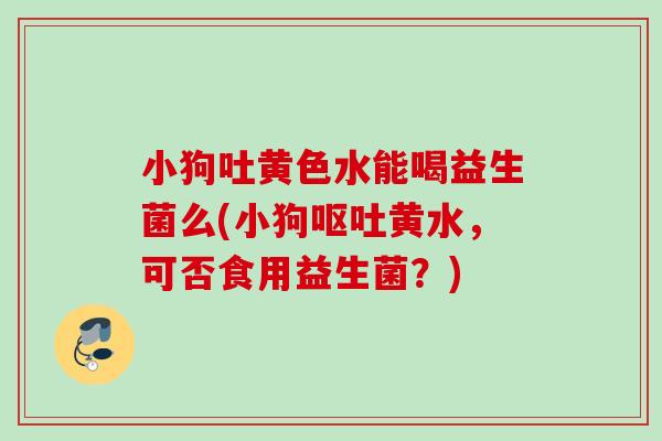 小狗吐黄色水能喝益生菌么(小狗呕吐黄水，可否食用益生菌？)
