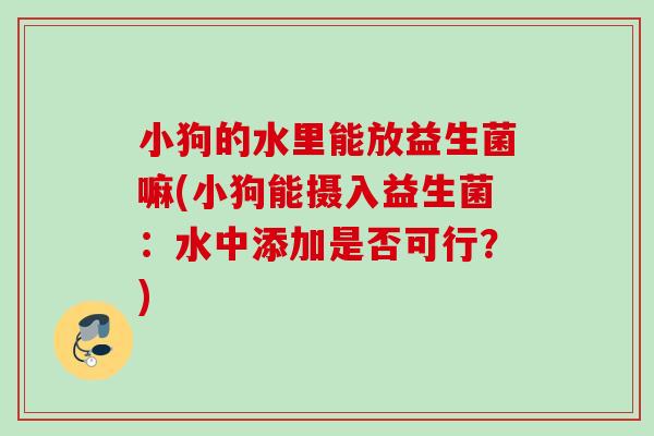 小狗的水里能放益生菌嘛(小狗能摄入益生菌:水中添加是否可行?) 小狗的水里能放益生菌嘛(小狗能摄入益生菌:水中添加是否可行?)