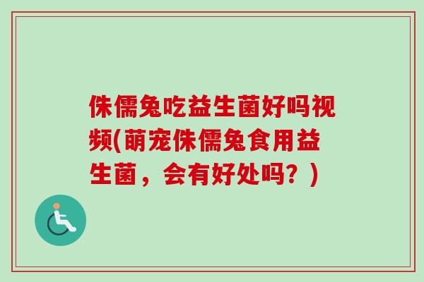 侏儒兔吃益生菌好吗视频(萌宠侏儒兔食用益生菌，会有好处吗？)