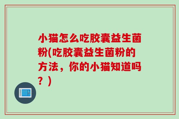 小猫怎么吃胶囊益生菌粉(吃胶囊益生菌粉的方法,你的小猫知道吗?) 小猫怎么吃胶囊益生菌粉(吃胶囊益生菌粉的方法,你的小猫知道吗?)
