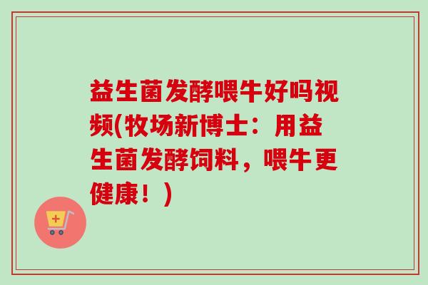 益生菌发酵喂牛好吗视频(牧场新博士：用益生菌发酵饲料，喂牛更健康！)