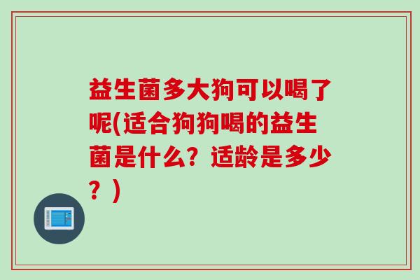 益生菌多大狗可以喝了呢(适合狗狗喝的益生菌是什么?适龄是多少?) 益生菌多大狗可以喝了呢(适合狗狗喝的益生菌是什么?适龄是多少?)