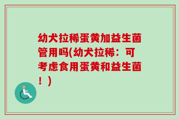 幼犬拉稀蛋黄加益生菌管用吗(幼犬拉稀:可考虑食用蛋黄和益生菌!) 幼犬拉稀蛋黄加益生菌管用吗(幼犬拉稀:可考虑食用蛋黄和益生菌!)