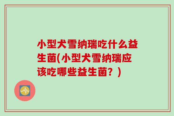 小型犬雪纳瑞吃什么益生菌(小型犬雪纳瑞应该吃哪些益生菌？)